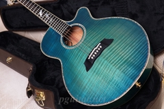 Guitar Takamine Decoy LTD2016 - Phiên bản giới hạn