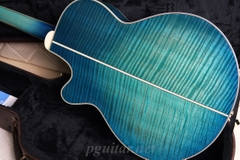 Guitar Takamine Decoy LTD2016 - Phiên bản giới hạn