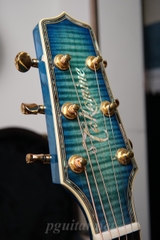 Guitar Takamine Decoy LTD2016 - Phiên bản giới hạn