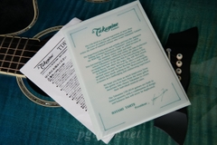 Guitar Takamine Decoy LTD2016 - Phiên bản giới hạn