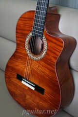 Murcia Fusion Shadow – Guitar Semi Classic Fishman Classica Blend
