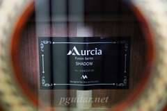 Murcia Fusion Shadow – Guitar Semi Classic Fishman Classica Blend