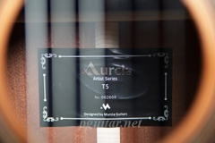 Guitar Classic Murcia T5