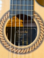Guitar Murcia T1-CE