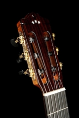Đàn Guitar Classic Cordoba C12 CD