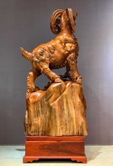 Nhất dương gỗ ngọc am đẹp