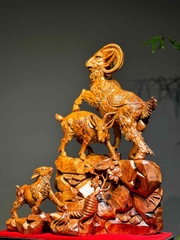 Tam dương khai thái gỗ hương ta đẹp