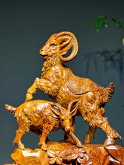 Tam dương khai thái gỗ hương ta đẹp