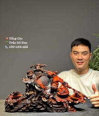 Ngài Tổng Cóc gỗ trắc đẹp