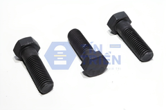 Bulong 8.8 - 5/16 Inch