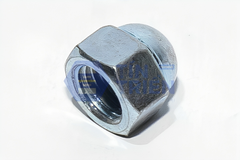 Tán bầu không long đền - M12