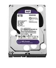 Ổ Cứng Western Digital Purple 6TB 64MB Cache (WD60PURZ) (New)