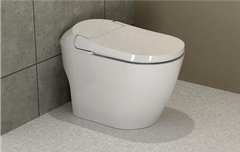 Bồn cầu điện tử thông minh Dobidos DB-9800