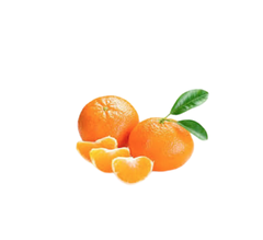 XĐ) Quýt giống thái