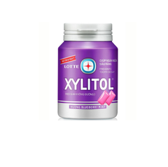 SinGum Xylitol Blueberry Mint