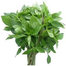 Bio) Húng quế VietGAP (Gói 100g)