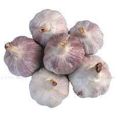 XĐ) Tỏi Hải Dương kg