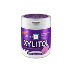 Kẹo Gum không đường Xylitol Blueberry Mint 137.8G Chính hãng 100%