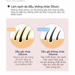 Dầu gội trà xanh AMOS 80ML/200ML giảm rụng tóc