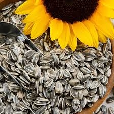 Hạt Hướng Dương Vị Ngũ Vị Hương Chacheer Gói 130G