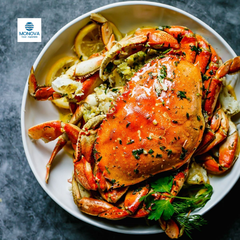 HƯƠNG CUA XỐT X.O