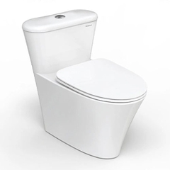 Bồn cầu liền khối Platinum P.11.321
