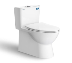 Bàn cầu một khối V808