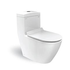 Bồn cầu liền khối Platinum P.11.350