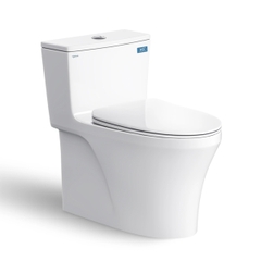 Bồn cầu Viglacera 1 khối HL2