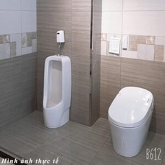 Bộ xả tiểu cảm ứng dương tường dùng pin VG842 (VGHX02)