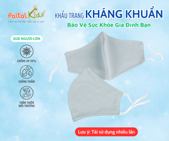 Combo 2 Cái Khẩu Trang Cao Cấp - 310 0104