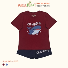 Đồ Bộ Đùi Cotton Mỹ Cao Cấp - 025 2112