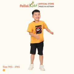 Áo Thun Hình In Chim Cánh Cụt Cotton Mỹ Bé Trai Cao Cấp - 020 1404