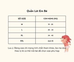 (CHE TÊN SẢN PHẨM) Combo 6 Quần Lót Cotton Ngẫu Nhiên Cao Cấp - 027 7304