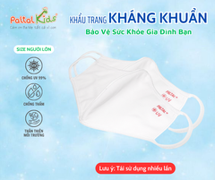 Combo 2 Cái Khẩu Trang Cao Cấp - 310 0008