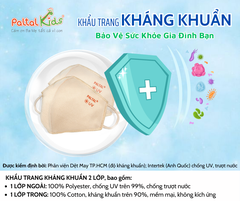 Combo 2 Cái Khẩu Trang Cao Cấp - 310 0008