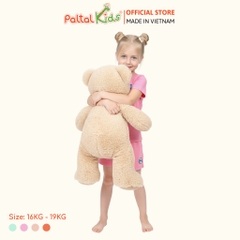 Đồ Bộ Đùi Cơ Bản Cotton Mỹ Bé Gái Cao Cấp - 025 5161 - Size 11