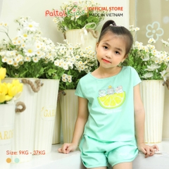 BST Mùa Hạ - Bộ Đùi Tay Ngắn Cotton Mỹ Bé Gái Cao Cấp - 025 5158