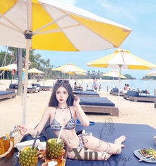 Bikini Ngắn Dior