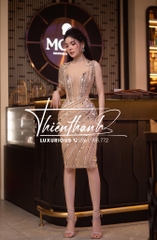 Đầm TK Body Đính Đá Cườm Phối Tay Rua Tua