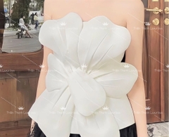 Áo Peplum Đính Cánh Hoa Mai