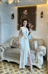Đầm Dài Cổ yếm