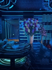 Dragon Palace Karaoke KTV Trung Sơn