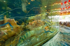 Nhà Hàng Hải Sản Phú Quốc - 259 Nguyễn Văn Lượng, Gò Vấp