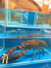 Nhà hàng Hàn Huyên - Số 2 Hồ Biểu Chánh, Quận Phú Nhuận