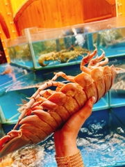 Nhà hàng Hàn Huyên - Số 2 Hồ Biểu Chánh, Quận Phú Nhuận