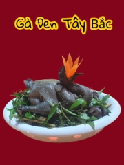 Ẩm Thực Dê Núi - Hải Sản K9 - 277B Kênh Tân Hóa, Tân Phú