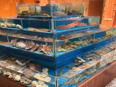 Nhà hàng Hàn Huyên - Số 2 Hồ Biểu Chánh, Quận Phú Nhuận