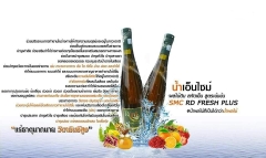 RD Fresh Plus Nước Hoa Quả Enzyme Thái Lan