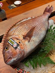 Sushi Aoyama – Trải Nghiệm Sushi Omakase Chuẩn Nhật Tại 21C Tôn Đức Thắng